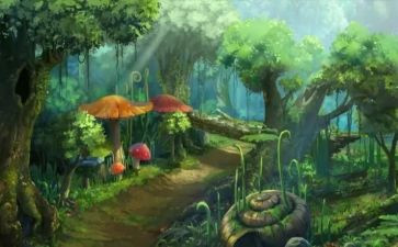 少年派的奇幻之旅读后感推荐5篇