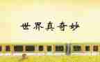 最奇妙的蛋语言教案7篇