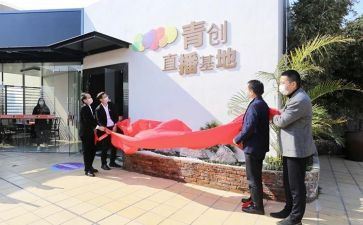 青创工作总结报告优秀6篇