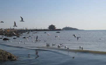 青岛租赁合同通用7篇