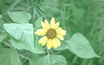 清醒作文推荐8篇