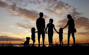 感悟亲情作文7篇