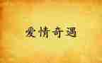 木有奇遇记读后感最新7篇