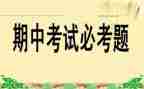 期中优秀教师发言稿范文7篇