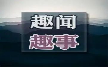 乡村趣事的作文通用7篇
