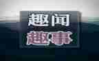 乡村趣事的作文通用7篇