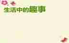 春节趣事小学生作文5篇