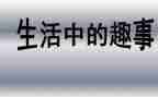 小动物的趣事作文7篇