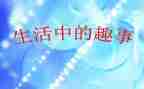 有趣事的作文优秀8篇