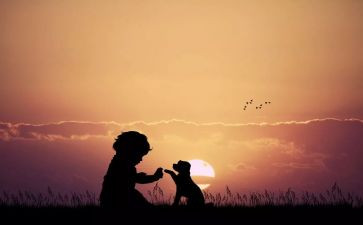 季羡林读人生读后感8篇