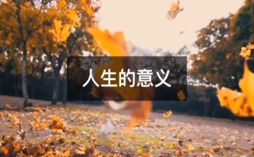 人生感悟作文300字8篇