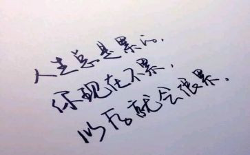 做忠诚干净担当的人心得体会6篇