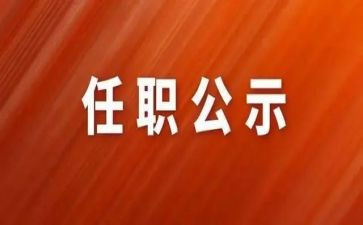 任职前工作总结通用6篇