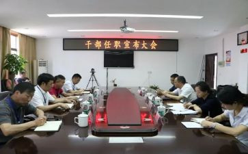 任职前工作总结8篇