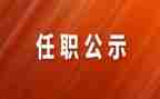 任职前工作总结通用6篇