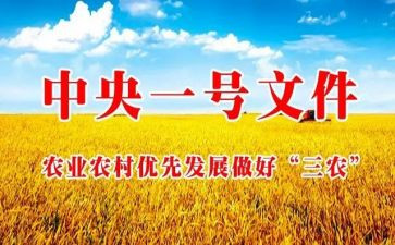 三农调查报告5篇