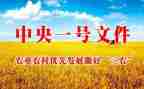 三农调查报告5篇