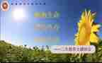 高三生物教学总结8篇