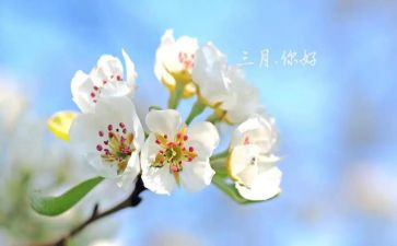 三月份工作总结优秀8篇