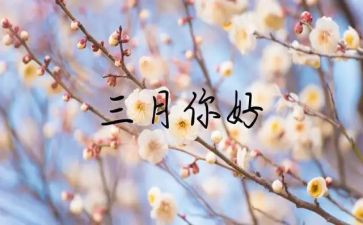 三月小班工作计划7篇