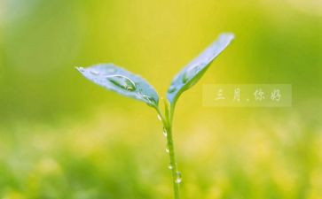 中班三月保育工作总结8篇