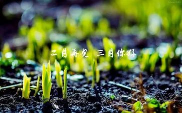 幼儿园三月工作计划7篇