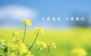 中班三月工作总结推荐6篇