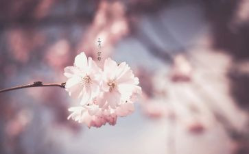 三月活动策划8篇