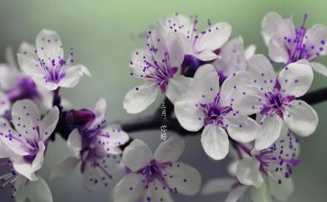 销售三月工作计划7篇