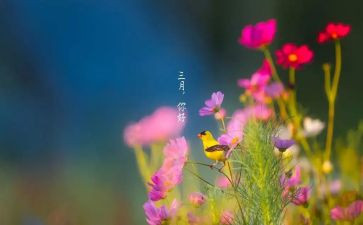 三月份中班工作总结优质5篇