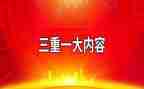 三重一大自查报告6篇