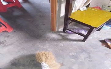 《扫除道》读后感5篇