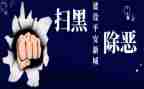 2024年扫黑除恶专项行动工作总结7篇