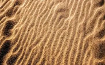 海沙买卖合同5篇