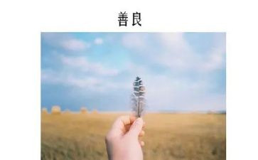 慈善日活动策划方案6篇