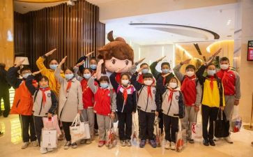 少先队入队前活动总结5篇