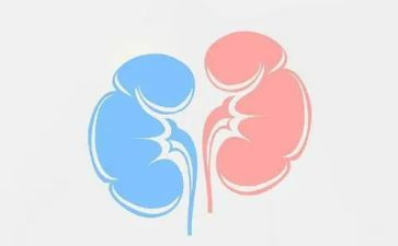 肾内科护士的述职报告参考5篇