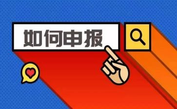 申报工作报告6篇
