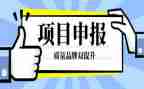 语文高级教师申报述职报告6篇