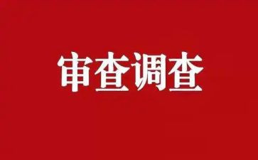 审查调查安全工作心得5篇