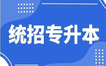 专升本申请书范文2023模板6篇