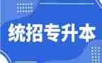 专升本申请书范文2023模板6篇
