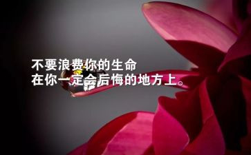 学会生存的作文500字5篇