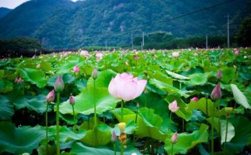 团生活个人总结7篇