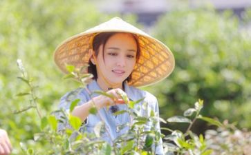 生活部工作月总结范文最新5篇