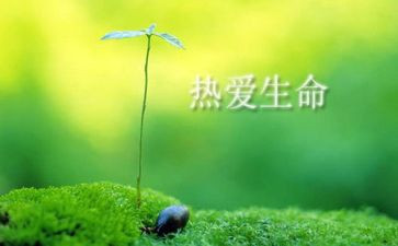 生命生命的读后感6篇