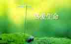 生命有关的作文300字6篇