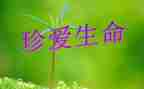 写生命生命的作文400字8篇