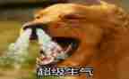 生气的我作文300字6篇