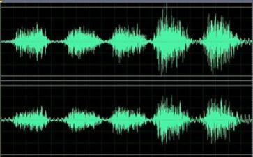 一种声音的作文800字6篇